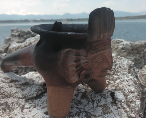 medicina tradicional