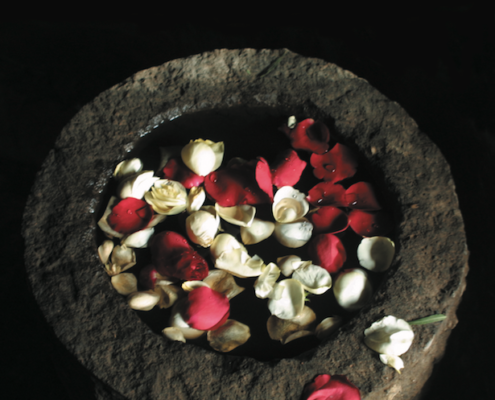 medicina tradicional