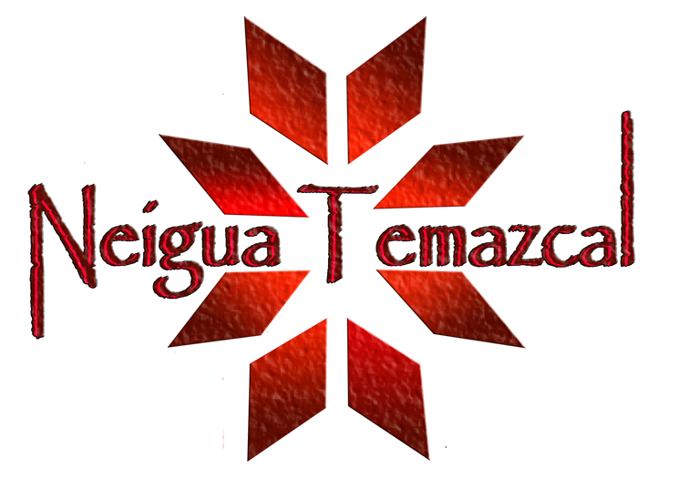 Neigua-Temazcal en Puebla, México
