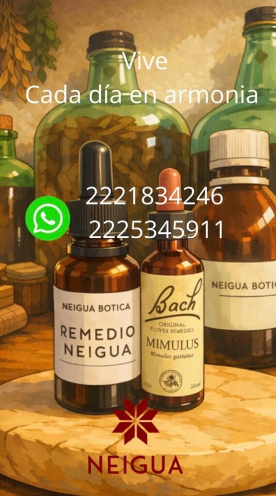 Acompañamiento Terapéutico