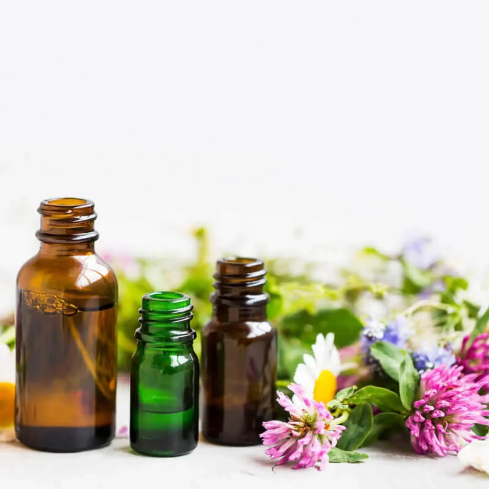medicina-alternativa-plantas-medicinales medicina-alternativa-plantas-medicinales